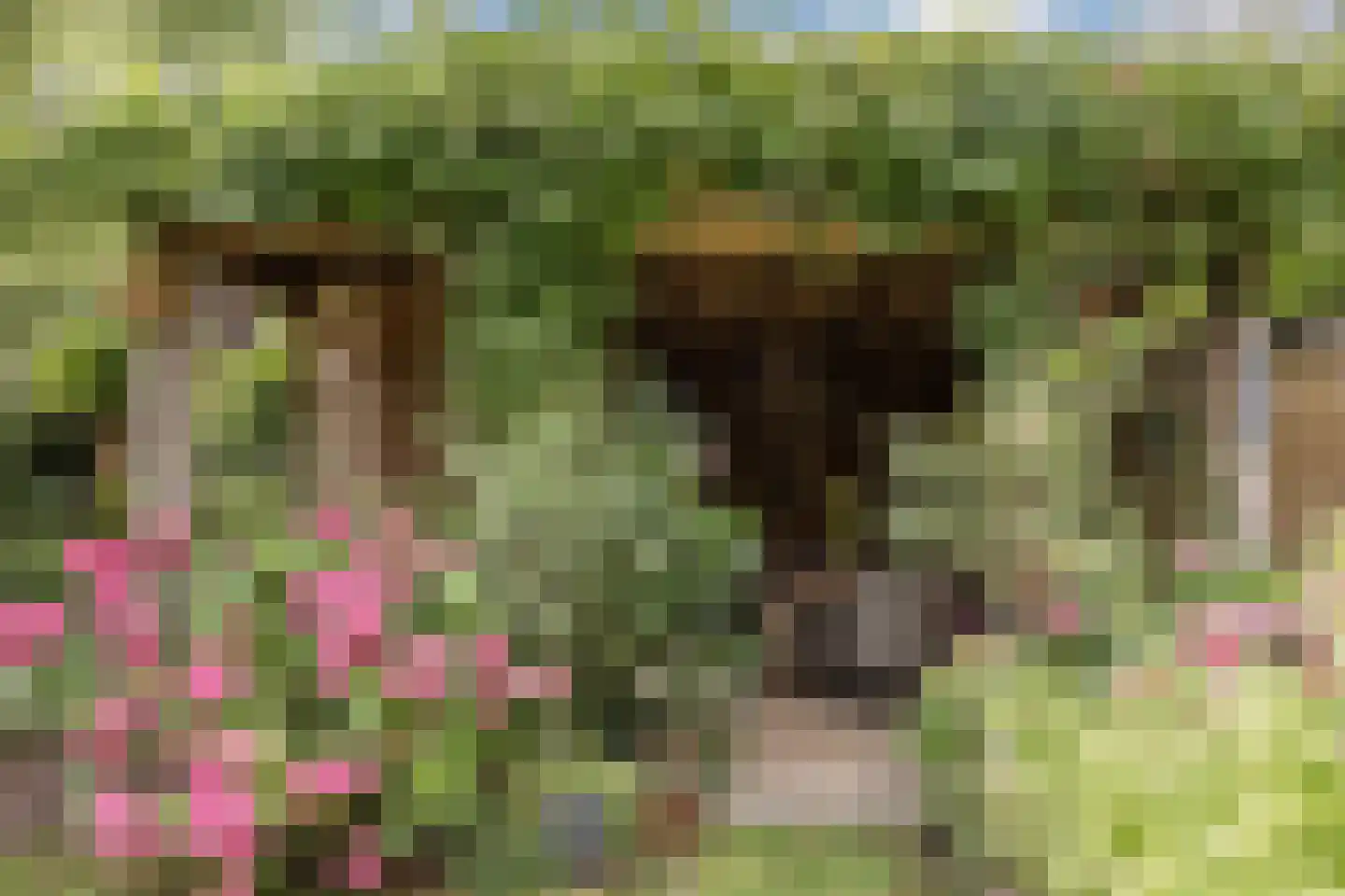 Rietven 16 Veghel thumbnail 65