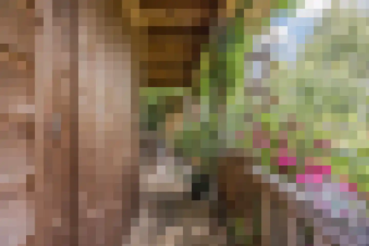 Rietven 16 Veghel thumbnail 67