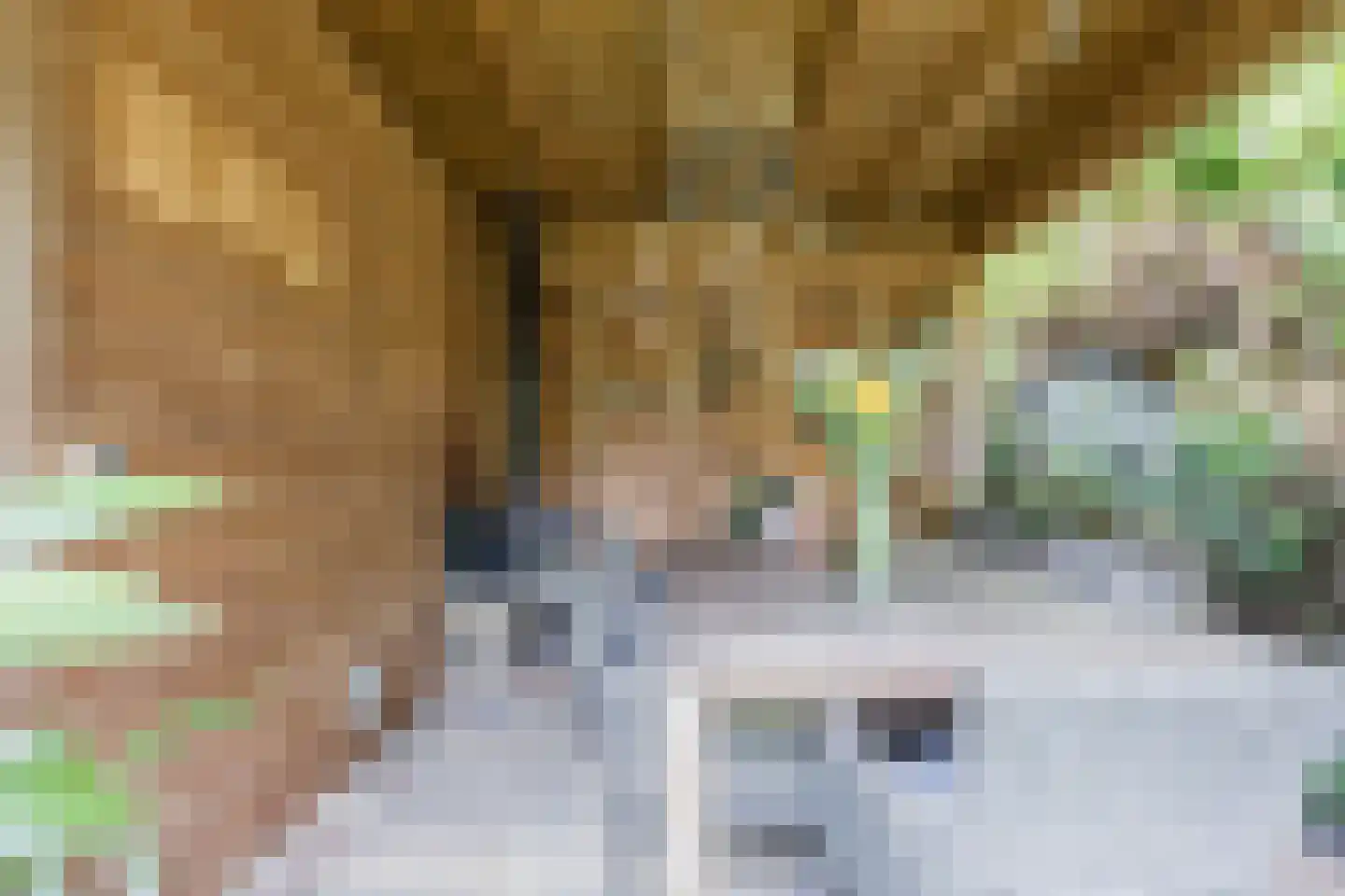 Rietven 16 Veghel thumbnail 68