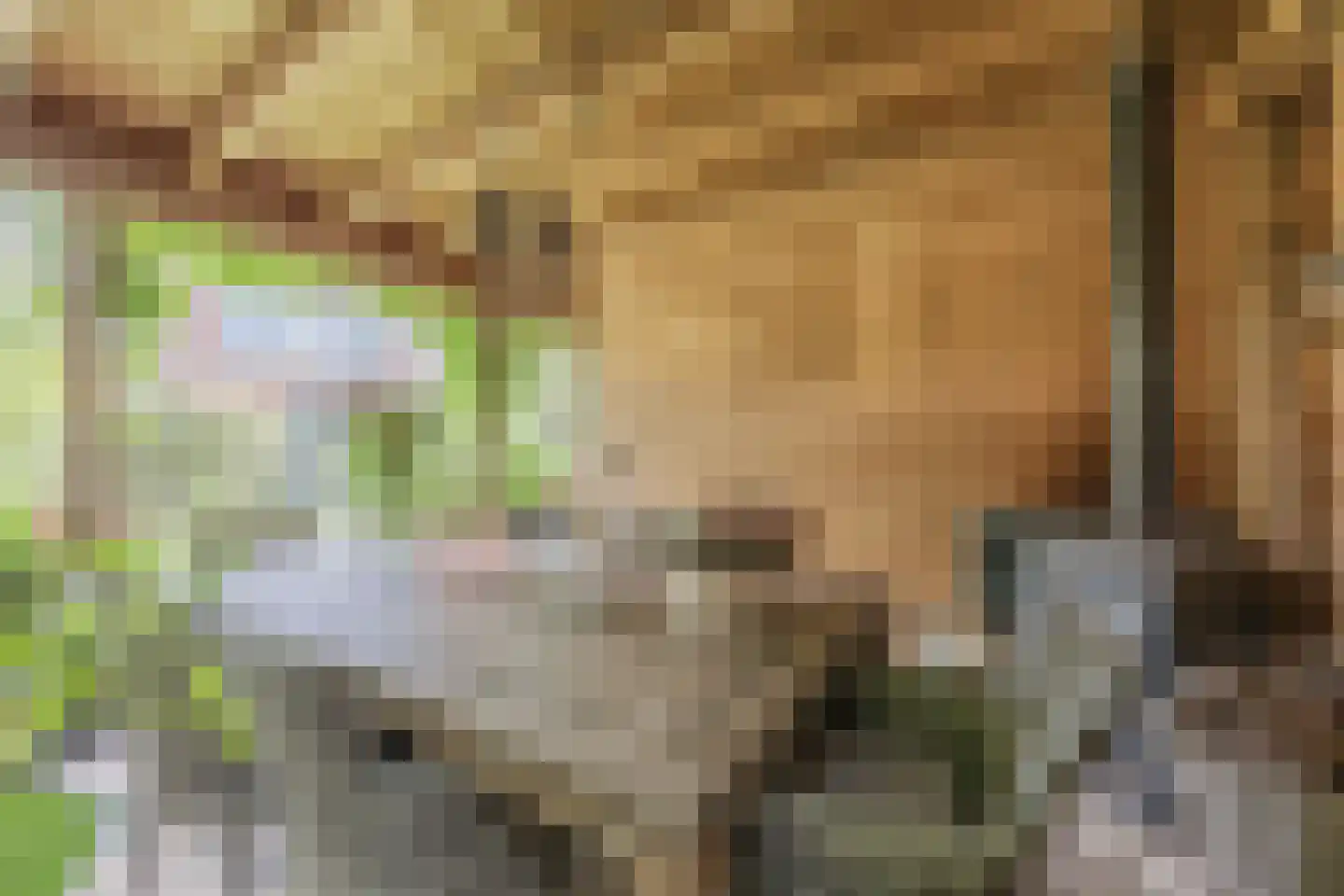 Rietven 16 Veghel thumbnail 69