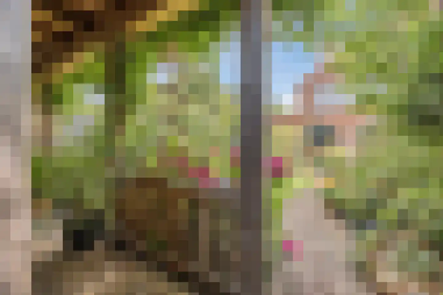 Rietven 16 Veghel thumbnail 70