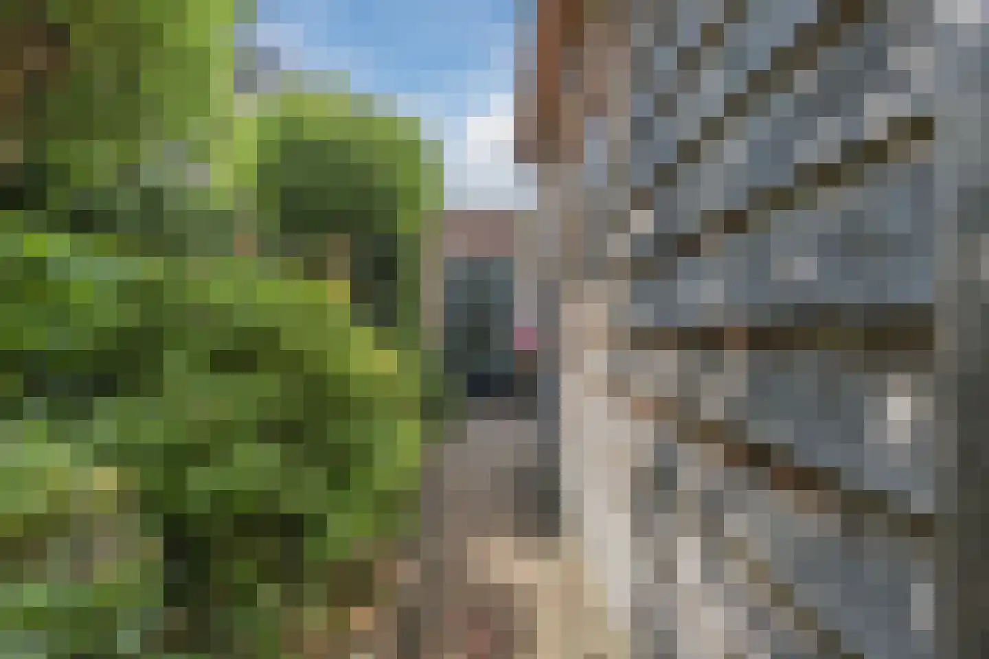 Rietven 16 Veghel thumbnail 72