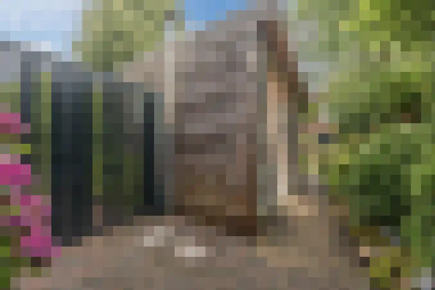 Rietven 16 Veghel thumbnail 73