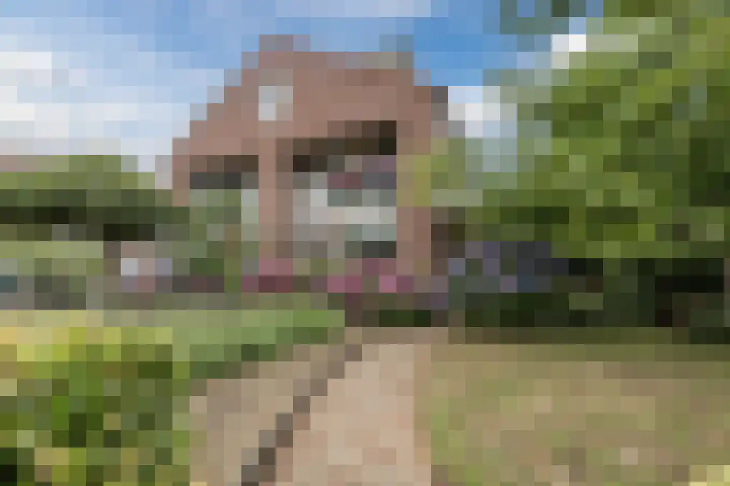 Rietven 16 Veghel thumbnail 81