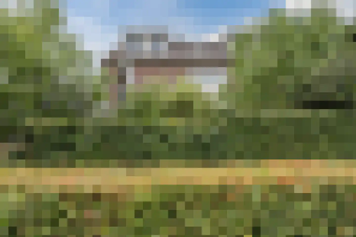 Rietven 16 Veghel thumbnail 83