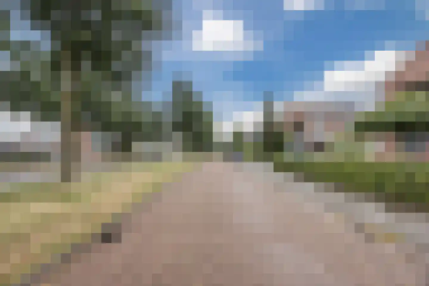 Rietven 16 Veghel thumbnail 84