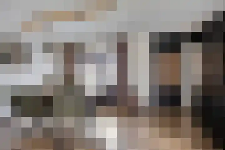Rietven 165 Veghel thumbnail 10