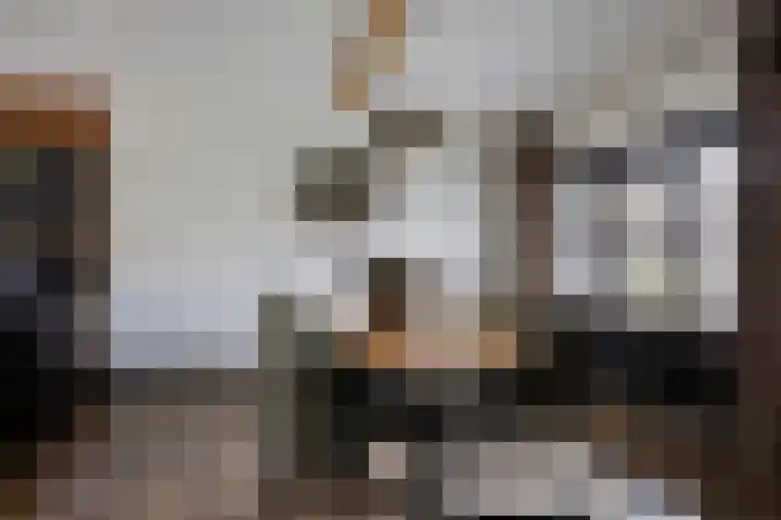 Rietven 165 Veghel thumbnail 11