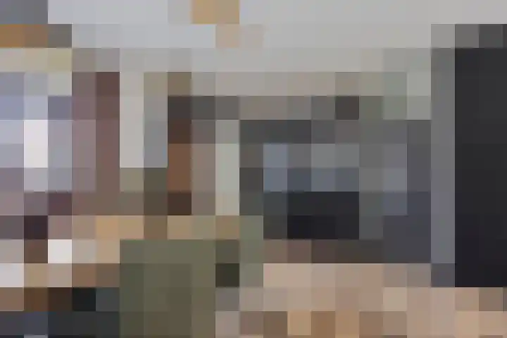Rietven 165 Veghel thumbnail 12