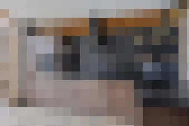 Rietven 165 Veghel thumbnail 13