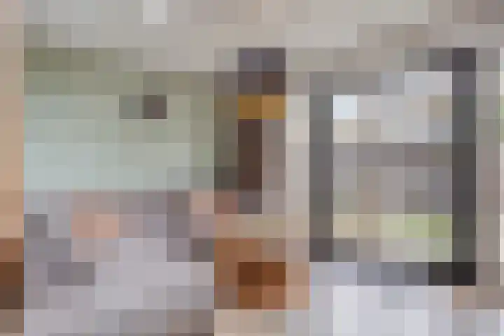 Rietven 165 Veghel thumbnail 16