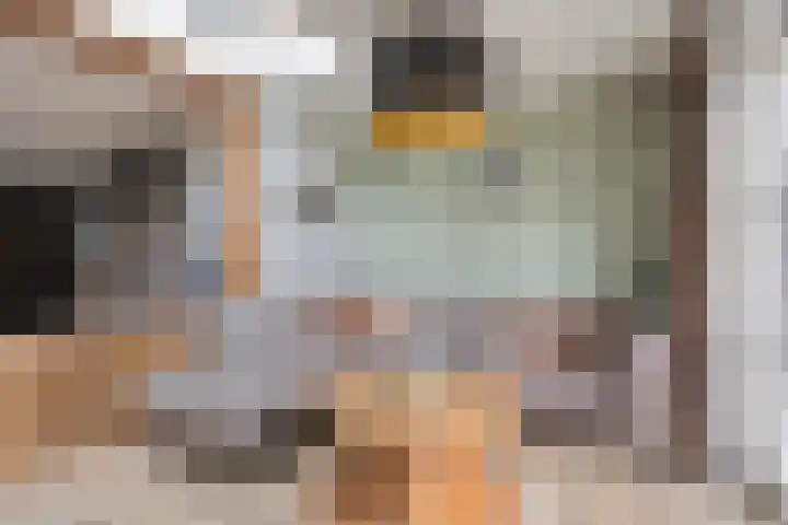 Rietven 165 Veghel thumbnail 18