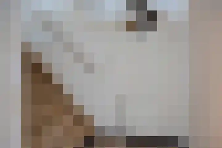 Rietven 165 Veghel thumbnail 20