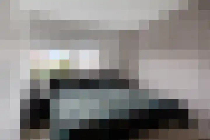 Rietven 165 Veghel thumbnail 21