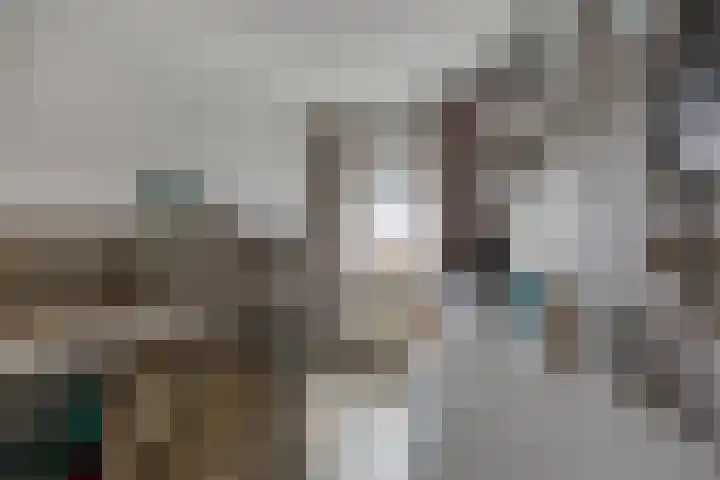 Rietven 165 Veghel thumbnail 25