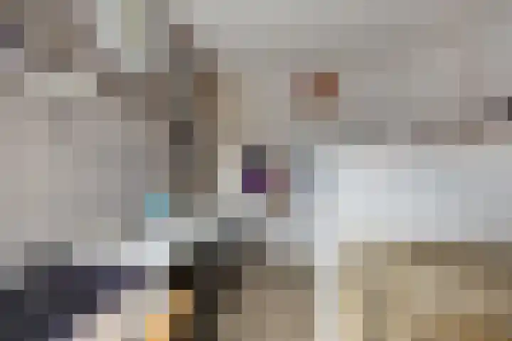 Rietven 165 Veghel thumbnail 26