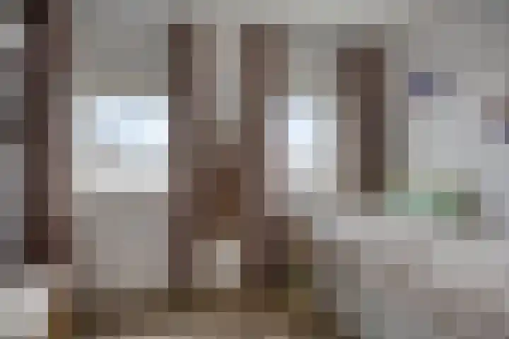 Rietven 165 Veghel thumbnail 27