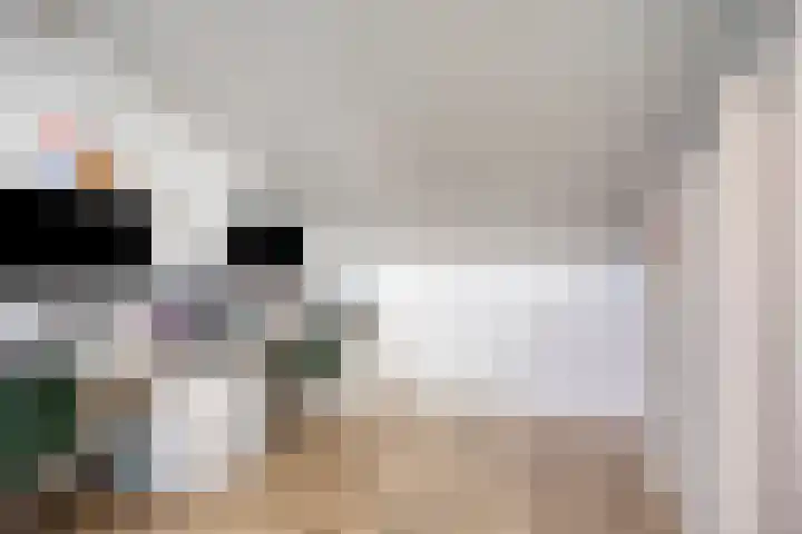Rietven 165 Veghel thumbnail 29