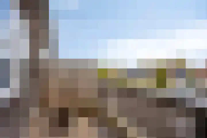 Rietven 165 Veghel thumbnail 31