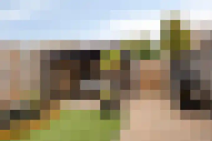 Rietven 165 Veghel thumbnail 32