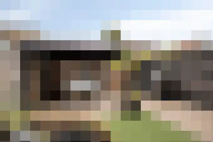 Rietven 165 Veghel thumbnail 33
