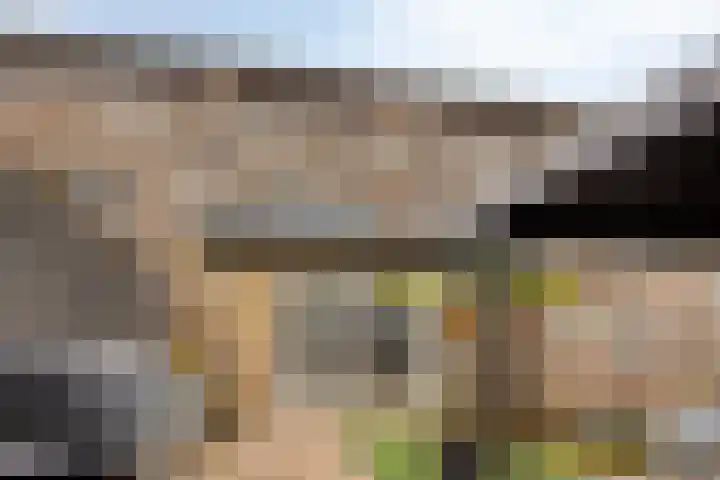 Rietven 165 Veghel thumbnail 34