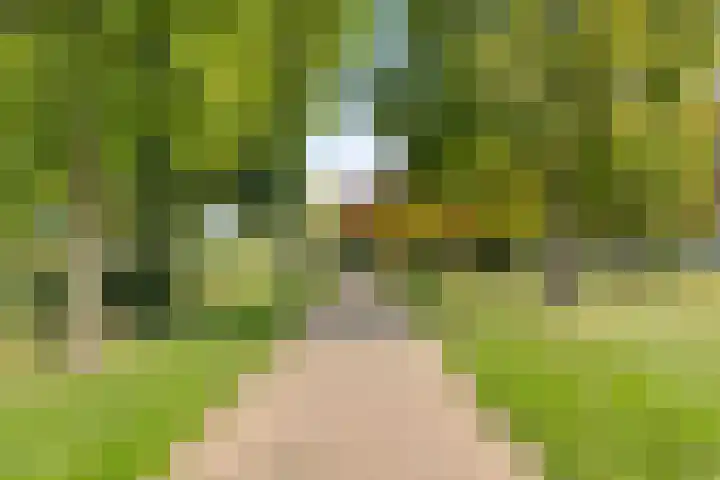 Rietven 165 Veghel thumbnail 36