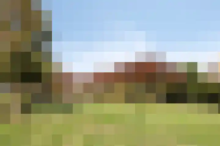 Rietven 165 Veghel thumbnail 37