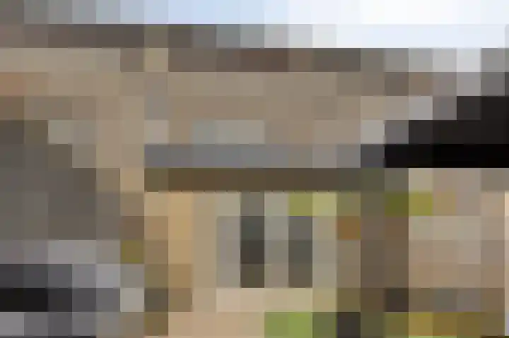 Rietven 165 Veghel thumbnail 5