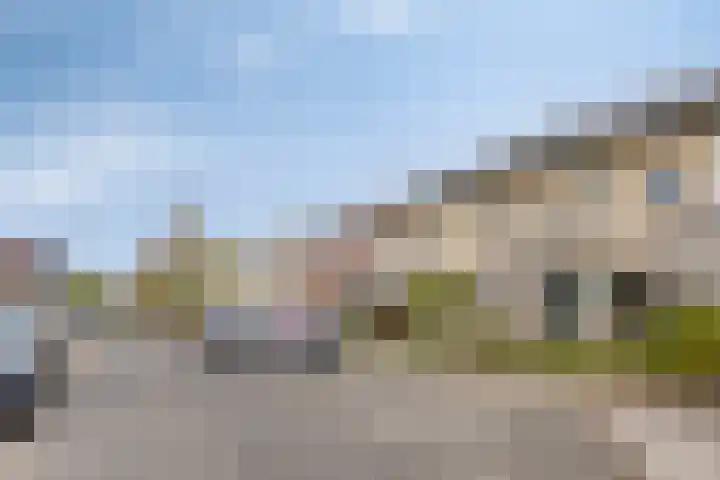 Rietven 165 Veghel thumbnail 6