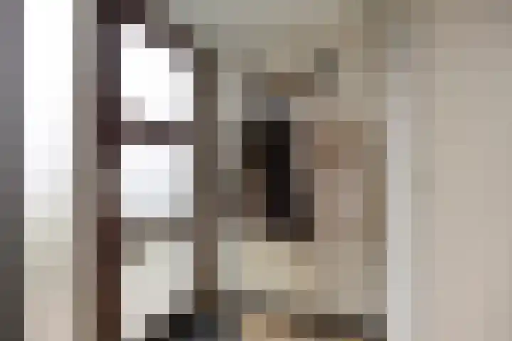 Rietven 165 Veghel thumbnail 7