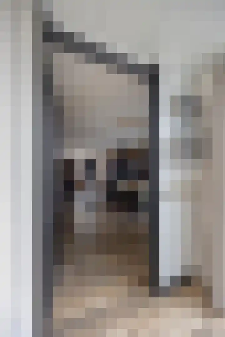 Rietven 165 Veghel thumbnail 8