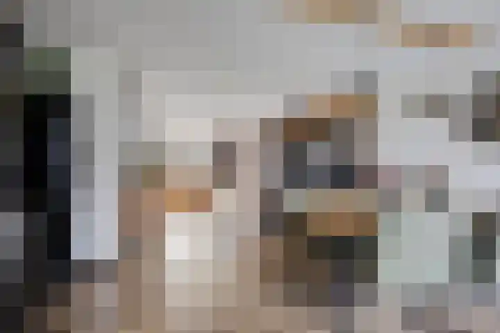 Rietven 165 Veghel thumbnail 9
