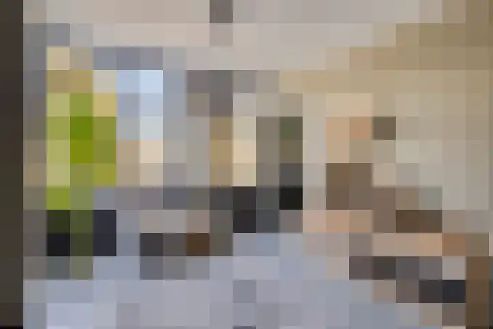Rietven 179 Veghel thumbnail 13