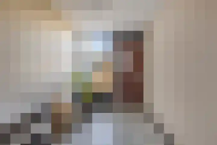 Rietven 179 Veghel thumbnail 14