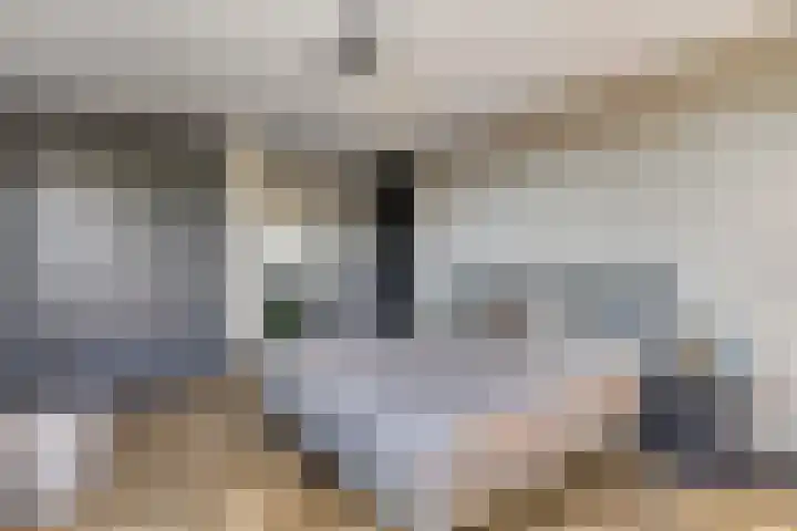 Rietven 179 Veghel thumbnail 18
