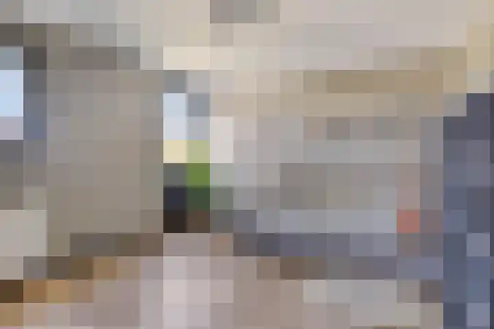 Rietven 179 Veghel thumbnail 19