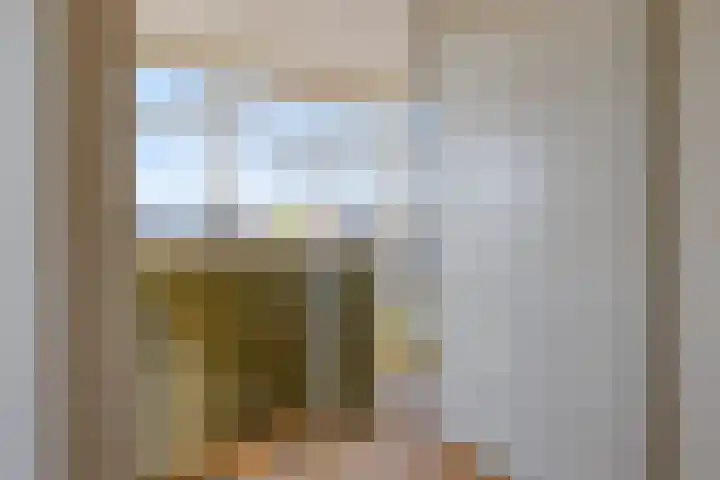 Rietven 179 Veghel thumbnail 25