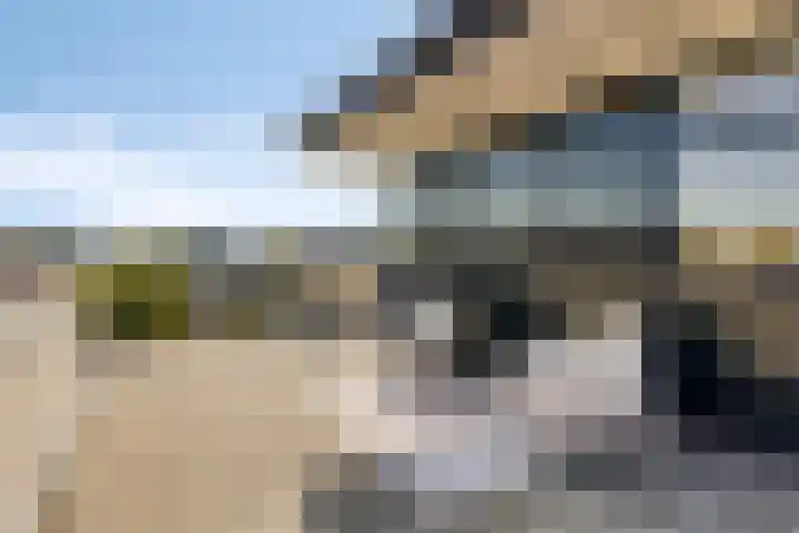 Rietven 179 Veghel thumbnail 29