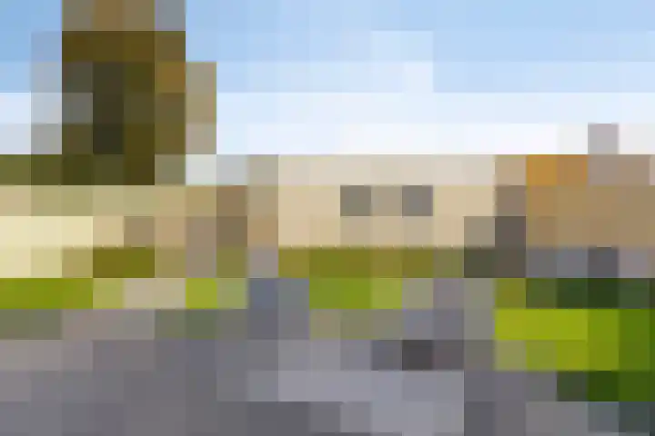 Rietven 179 Veghel thumbnail 34