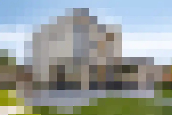 Rietven 179 Veghel thumbnail 39