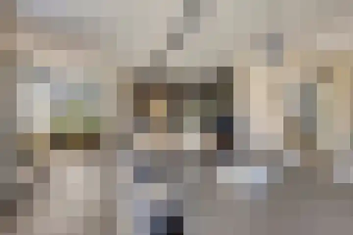 Rietven 179 Veghel thumbnail 4