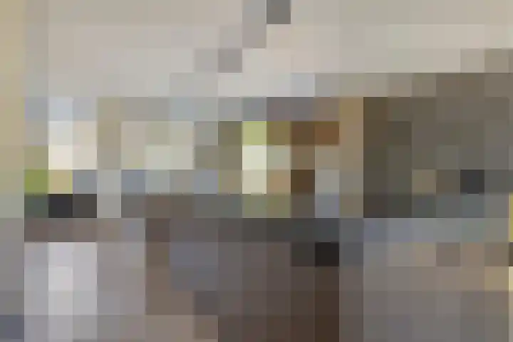 Rietven 179 Veghel thumbnail 7