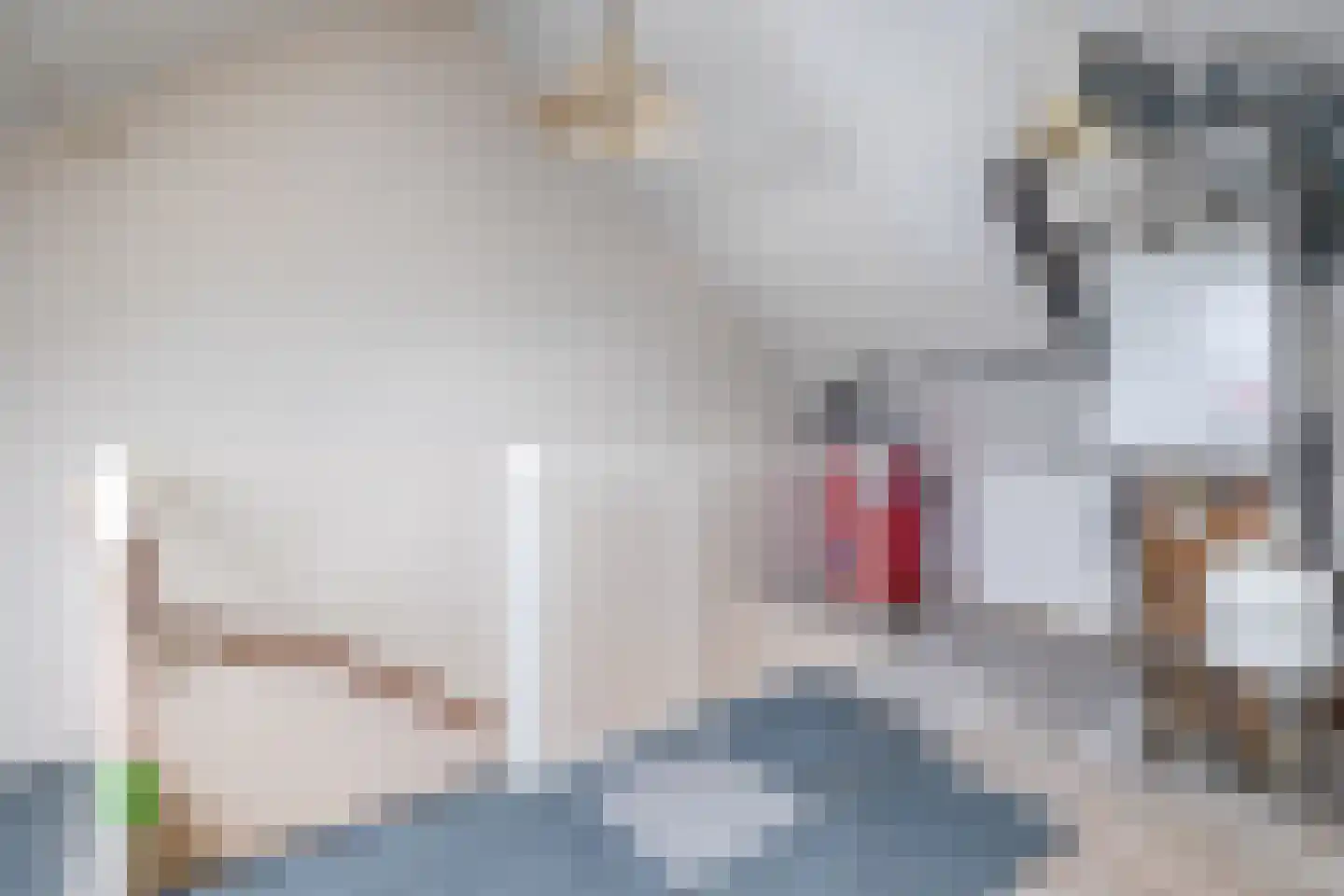 Rietven 21 Enschede thumbnail 24