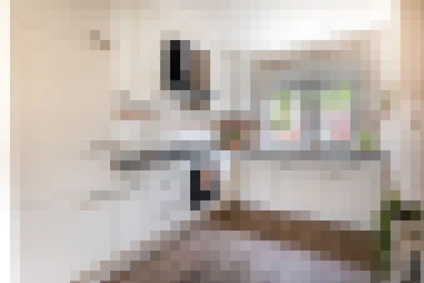 Rietven 21 Enschede thumbnail 31