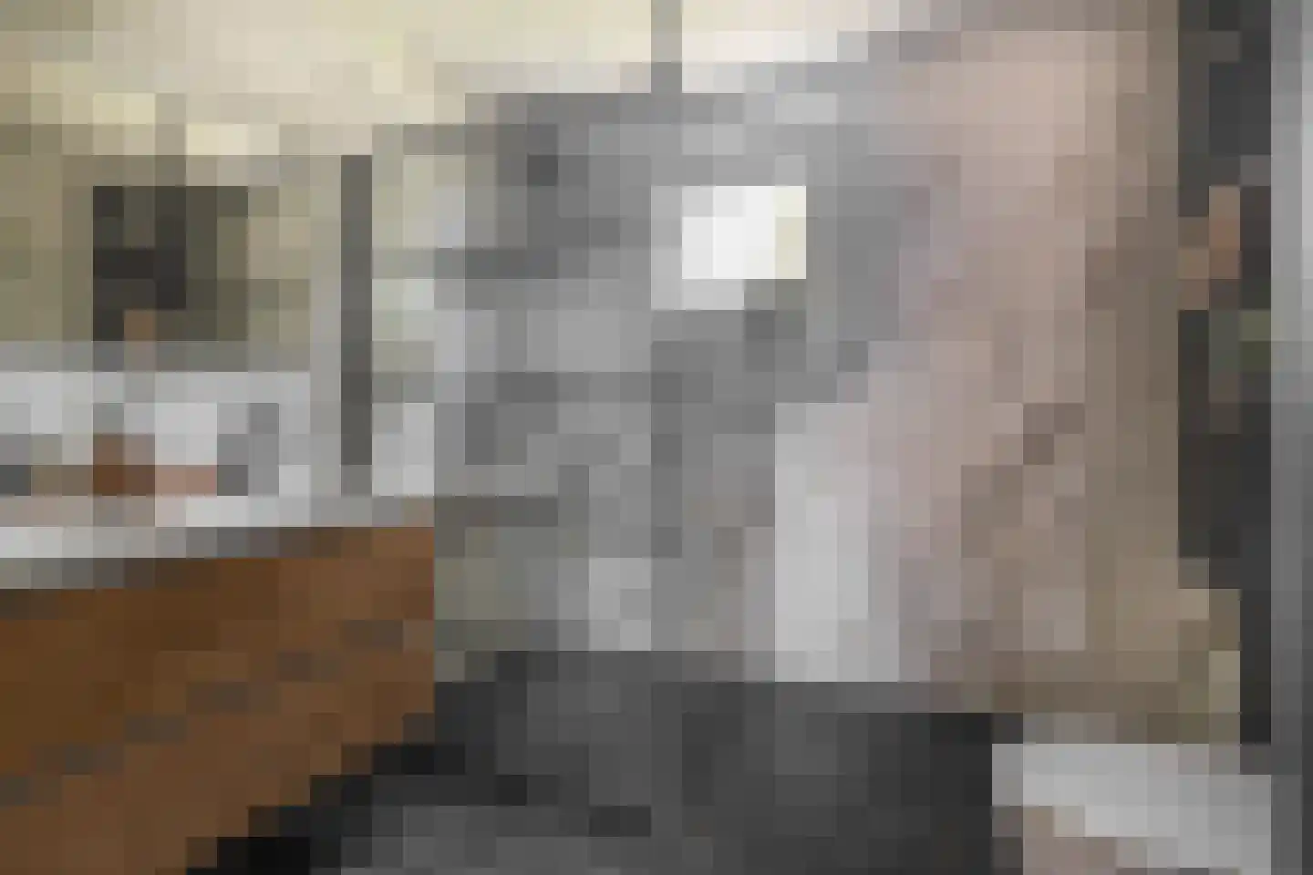 Rietven 21 Enschede thumbnail 32