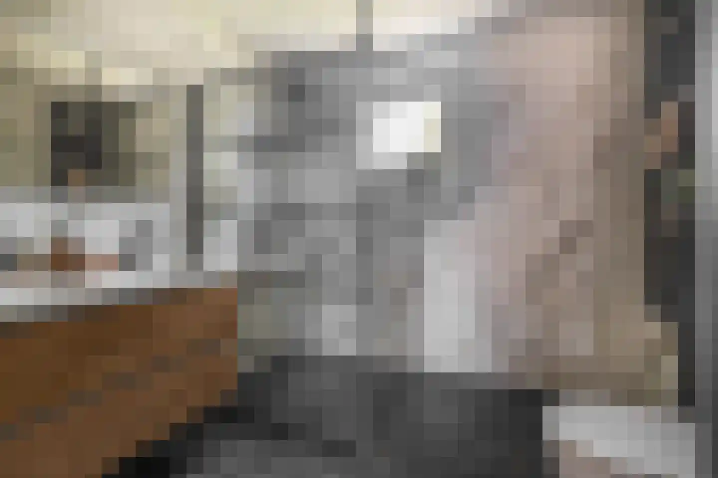 Rietven 21 Enschede thumbnail 4