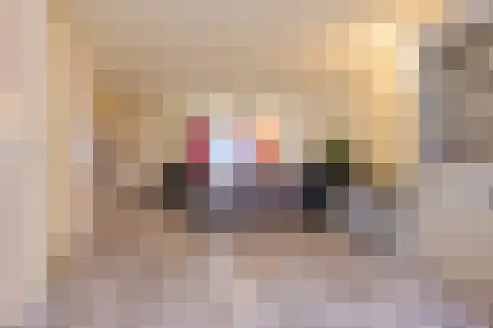 Rietven 276 Veghel thumbnail 10