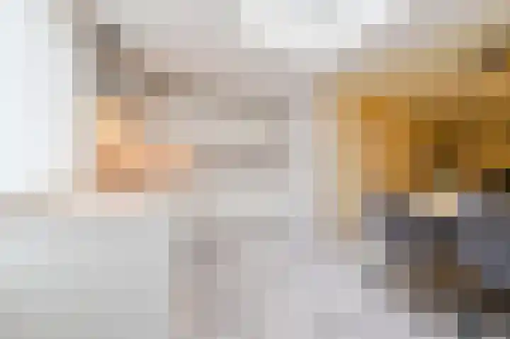 Rietven 276 Veghel thumbnail 13