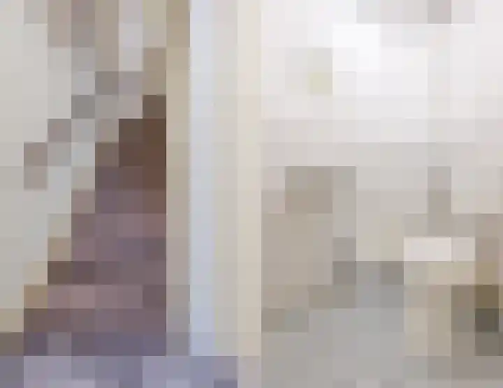 Rietven 276 Veghel thumbnail 16